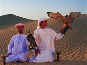 Dinner in Desert