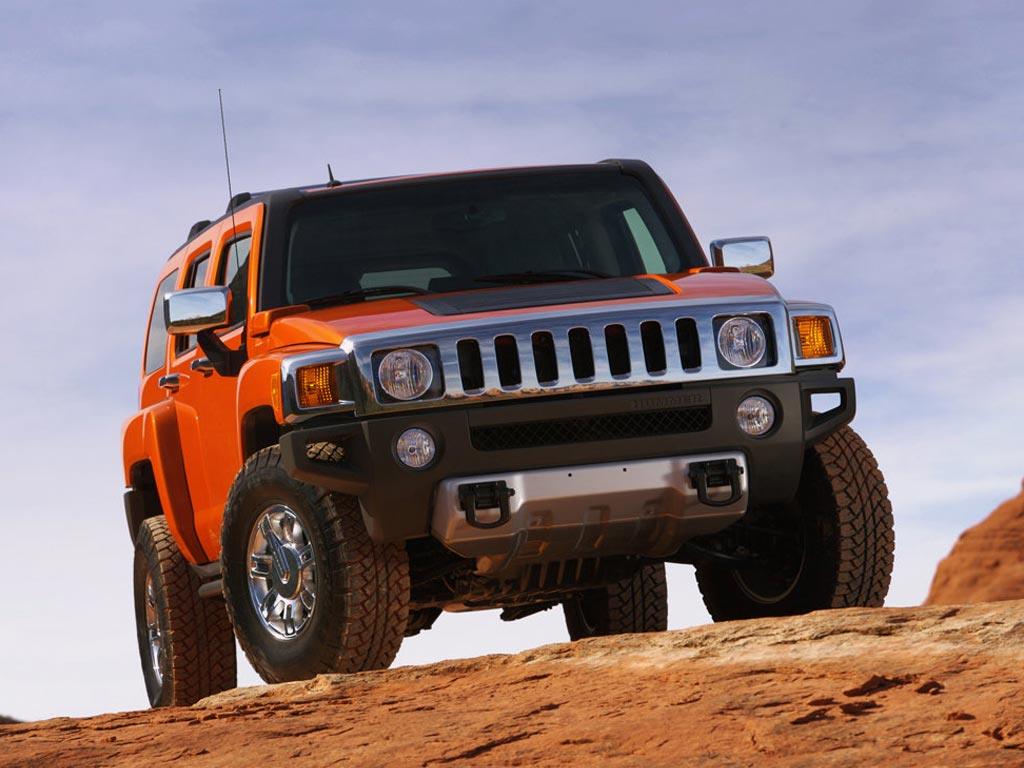 desert safari