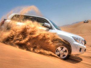 Morning Safari in Dubai