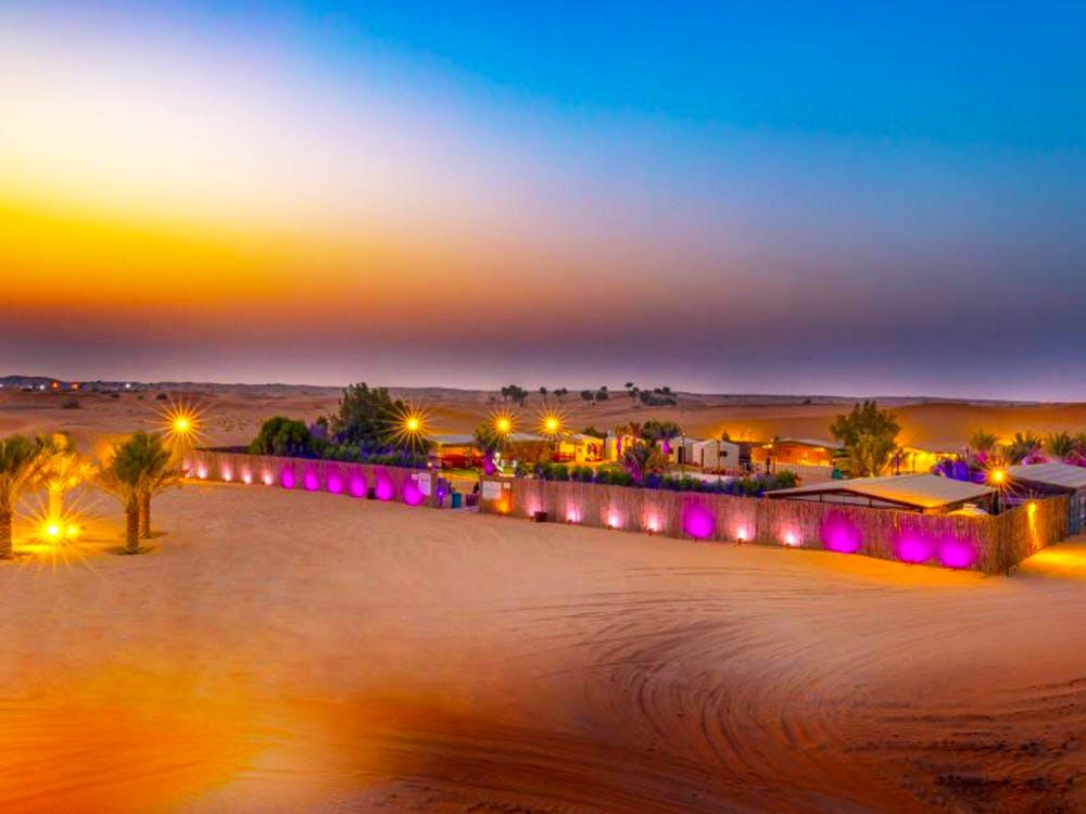 dubai safari park at night